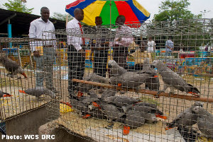 Kinshasa market